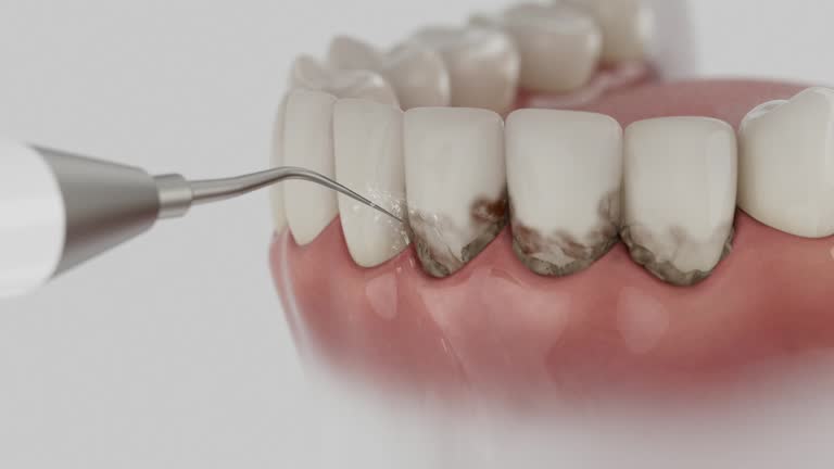 Reliable Dental contractor in East Los Angeles, CA by Dentist Open Now